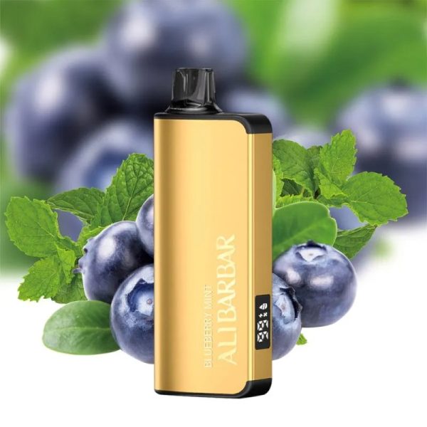 Alibarbar Ingot 9000 Disposable Vape – Blueberry Mint
