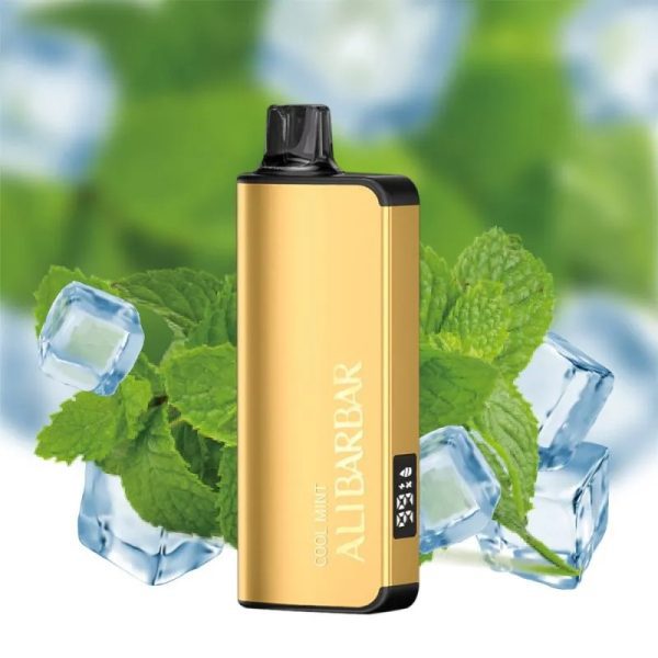 Alibarbar Ingot 9000 Disposable Vape – Cool Mint