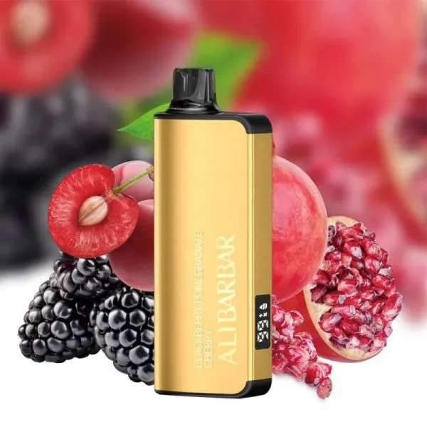 Alibarbar Ingot 9000 Disposable Vape – Blackberry Pomegranate Cherry