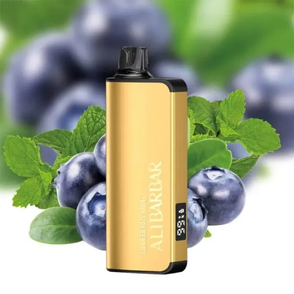 Alibarbar Ingot 9000 Disposable Vape – Blueberry Mint